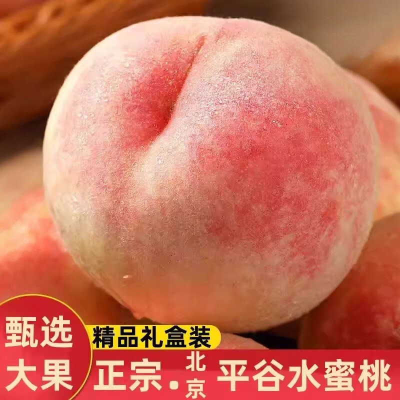 正宗北京大桃新鲜水蜜桃