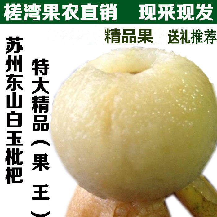 苏州东山白玉枇杷精品超