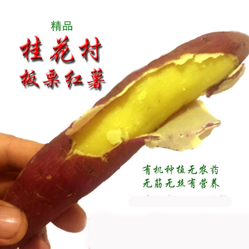 虢王桂花村陕西板栗红薯新鲜蜜番薯黄白瓤地瓜紫薯香薯小山芋红苕