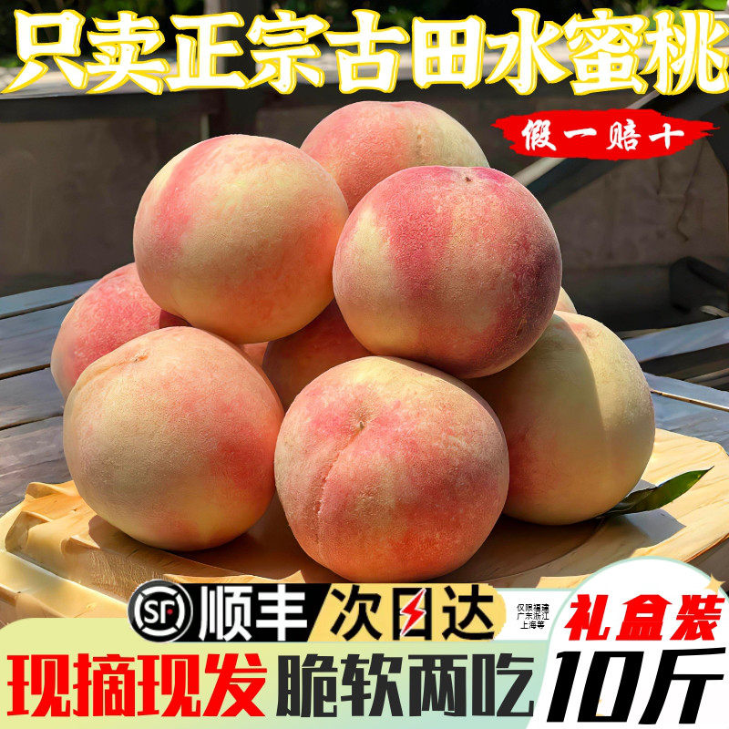 正宗福建古田白凤水蜜桃