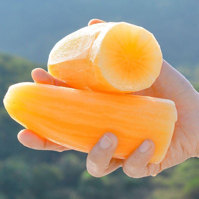 现挖天山雪莲果云南红泥