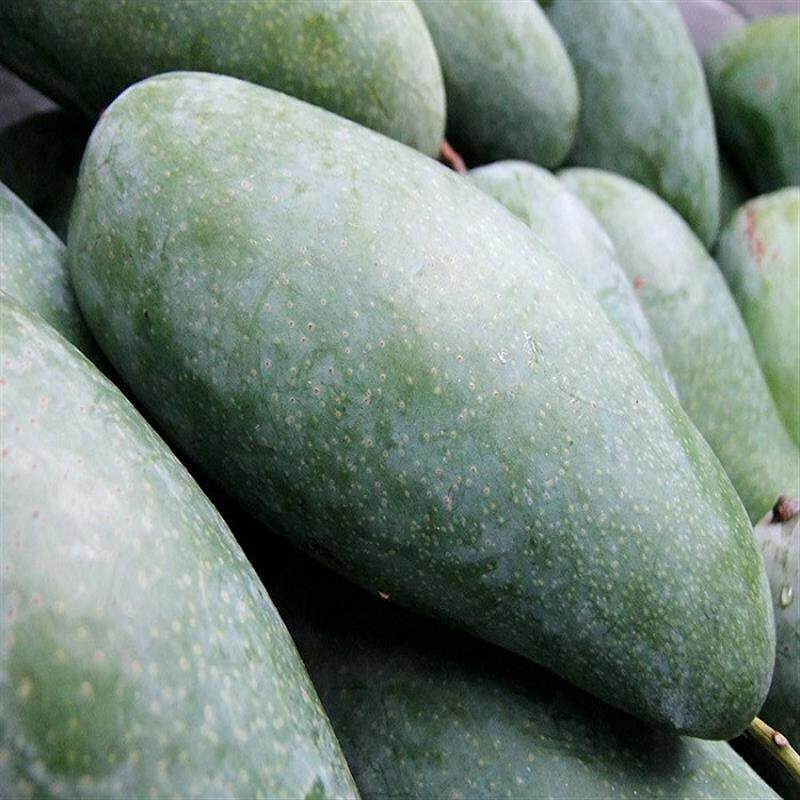 越南小青芒果甜心芒果金煌芒小香芒青皮芒果新鲜水果五斤包邮