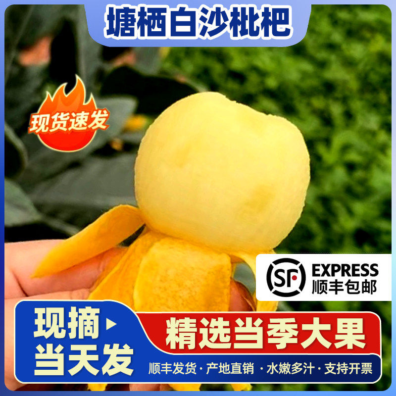 浙江杭州塘栖白沙枇杷白