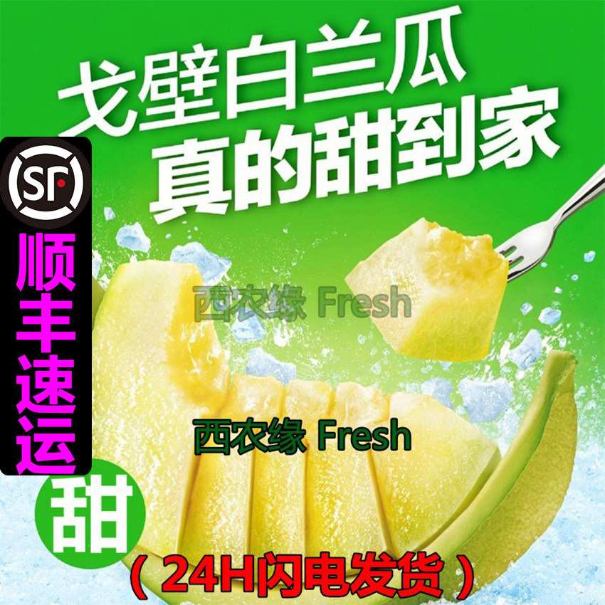 甘肃白兰瓜戈壁民勤瓜州