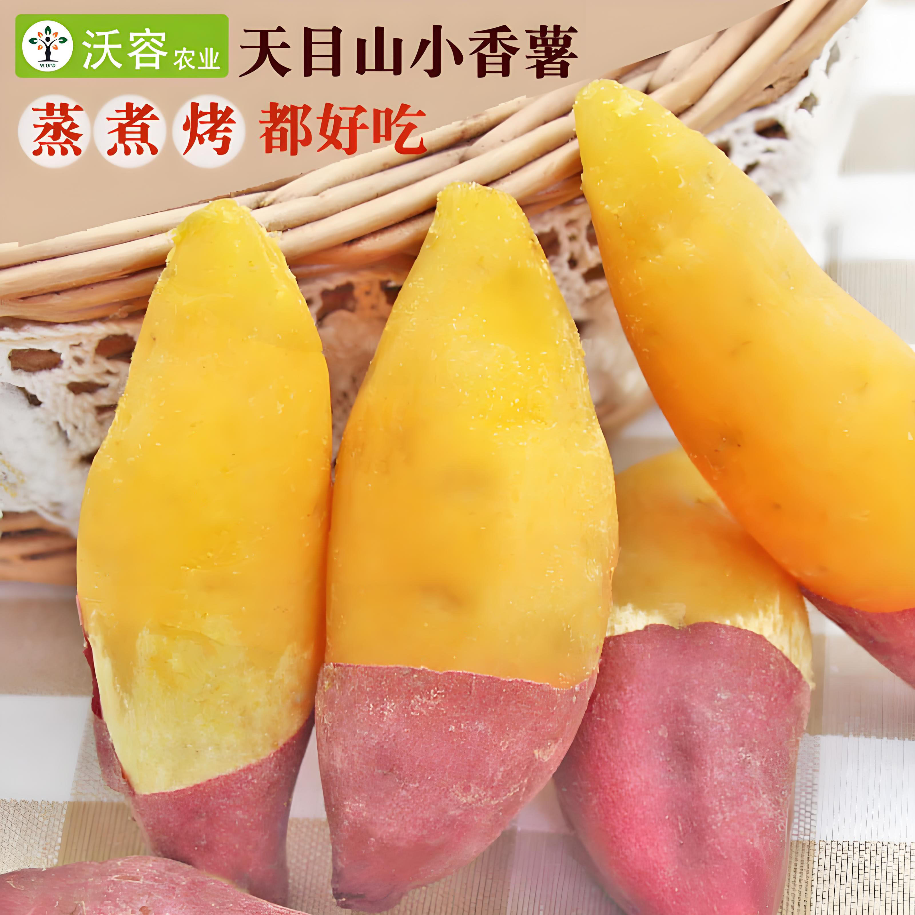 黄心沙地小香薯5斤沃容临安天目山新鲜红薯板栗薯蜜薯白心山芋苕