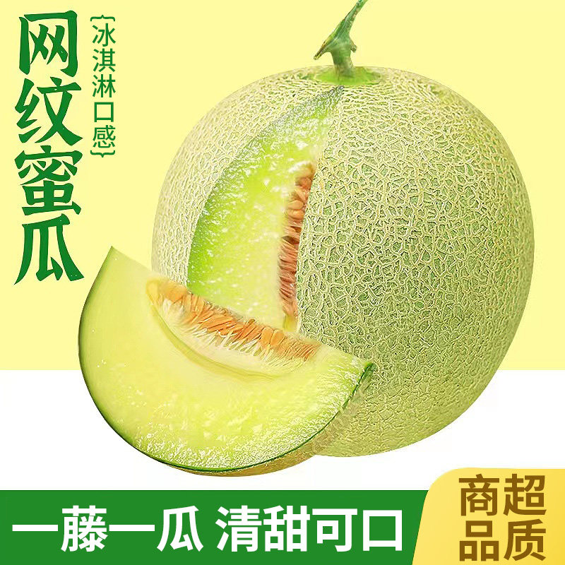 冰淇淋网纹蜜瓜新鲜水果