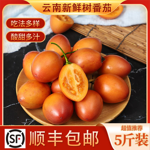 云南产地直送番茄多种重