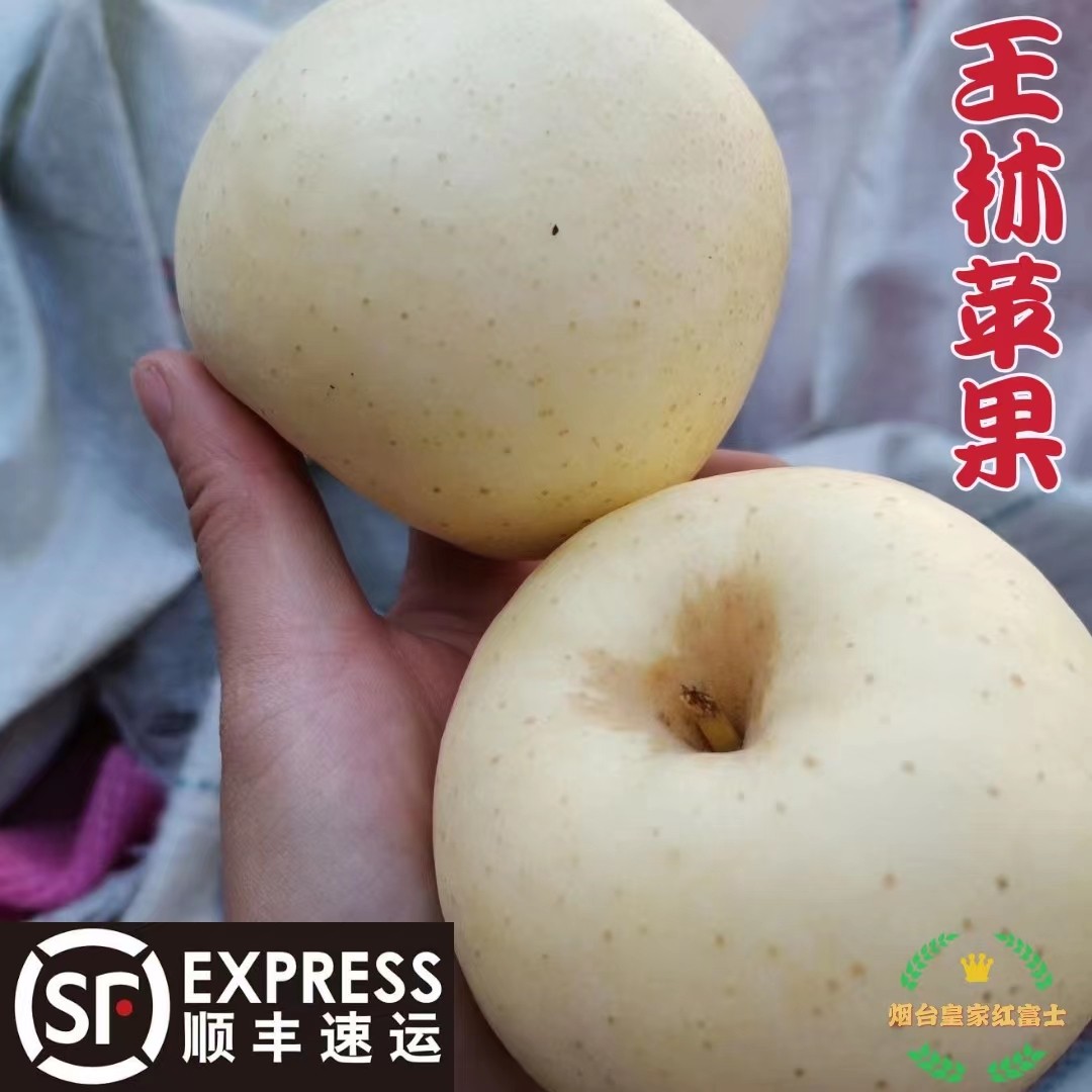 正宗新鲜王林苹果山东烟台奶油黄苹果富士现摘超甜带皮吃10斤整箱