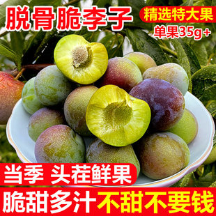 李子水果新鲜四川脱骨脆李子5斤茵红李绥江半边红蜂糖脆李子包邮