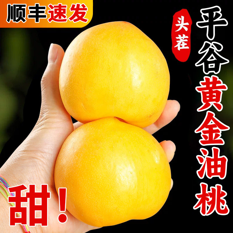 北京平谷黄金蜜桃黄油桃