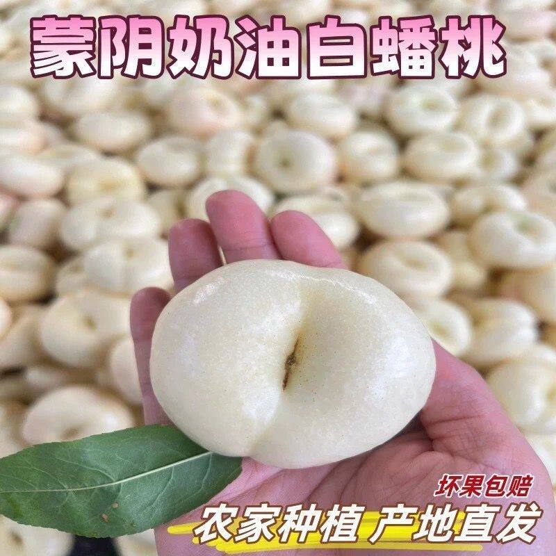 正宗蒙阴奶油白蟠桃应季
