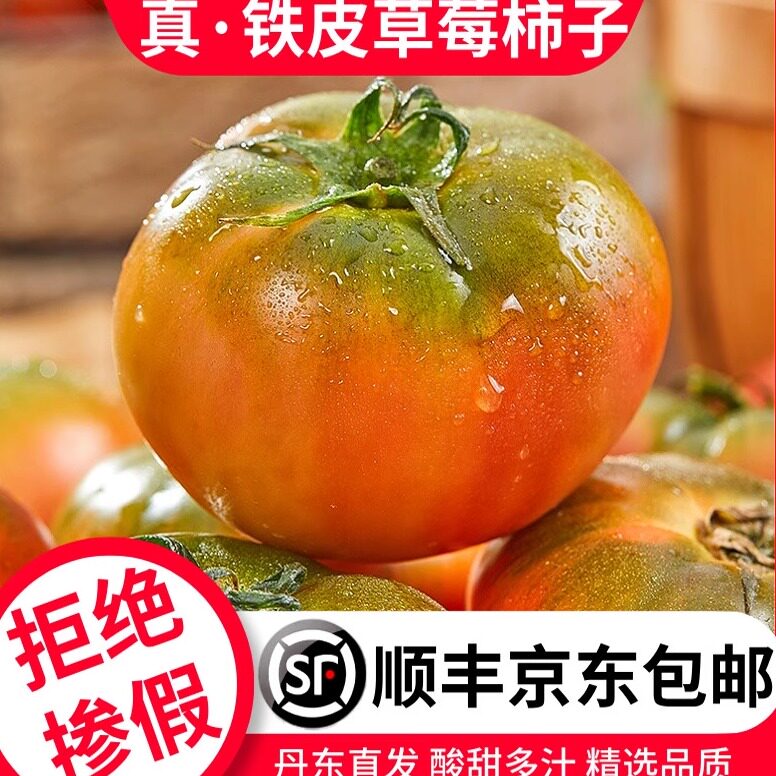 产地现摘现发草莓西红柿