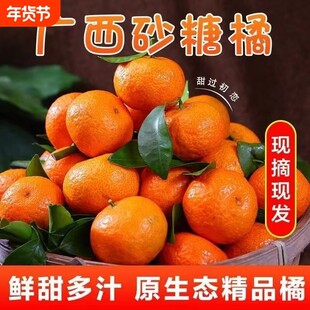 新鲜沙糖橘正宗广西产地沙糖桔甜小橘子应季橘子柑橘整箱发酸甜口