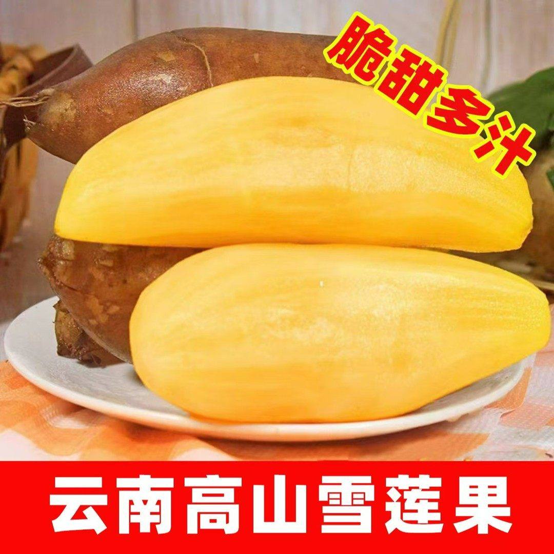 【低糖】云南天山雪莲果清甜脆爽多汁黄心新鲜应季水果现挖产地,包装,水果包装,淘宝优惠券,粉丝福利购,淘宝优惠卷