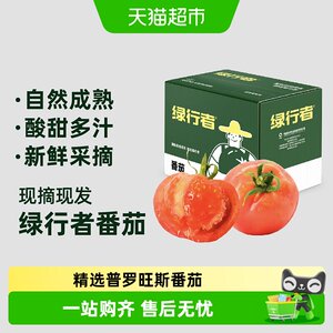 绿行者普罗旺斯沙瓤番茄