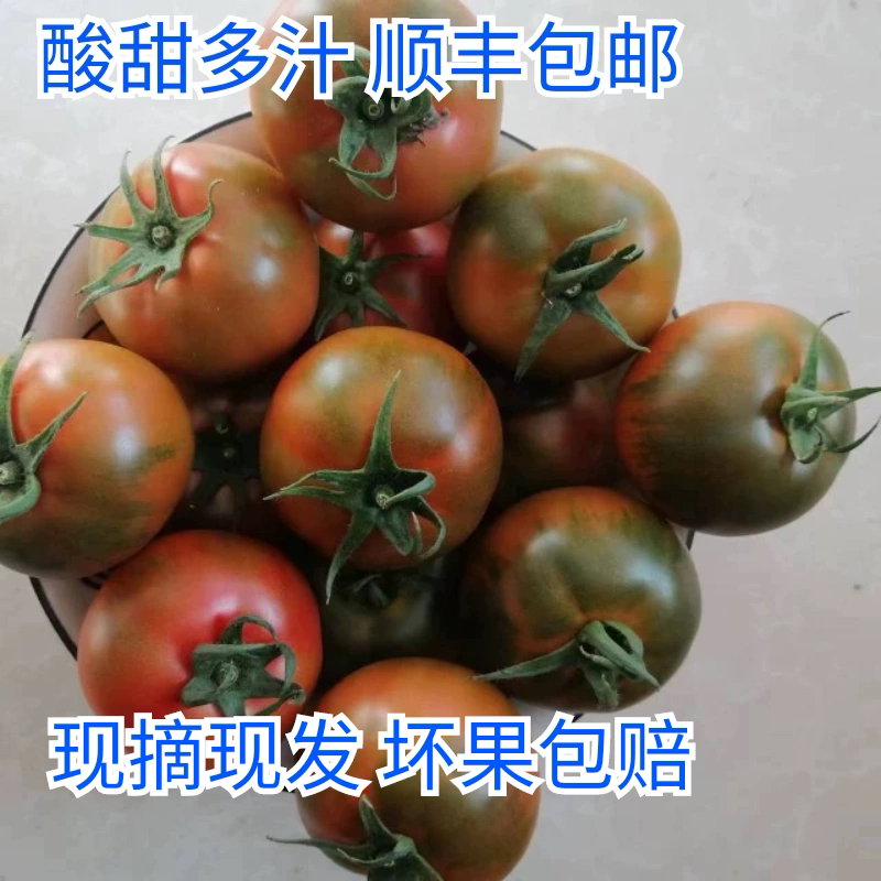 盘锦碱地西红柿丹东草莓