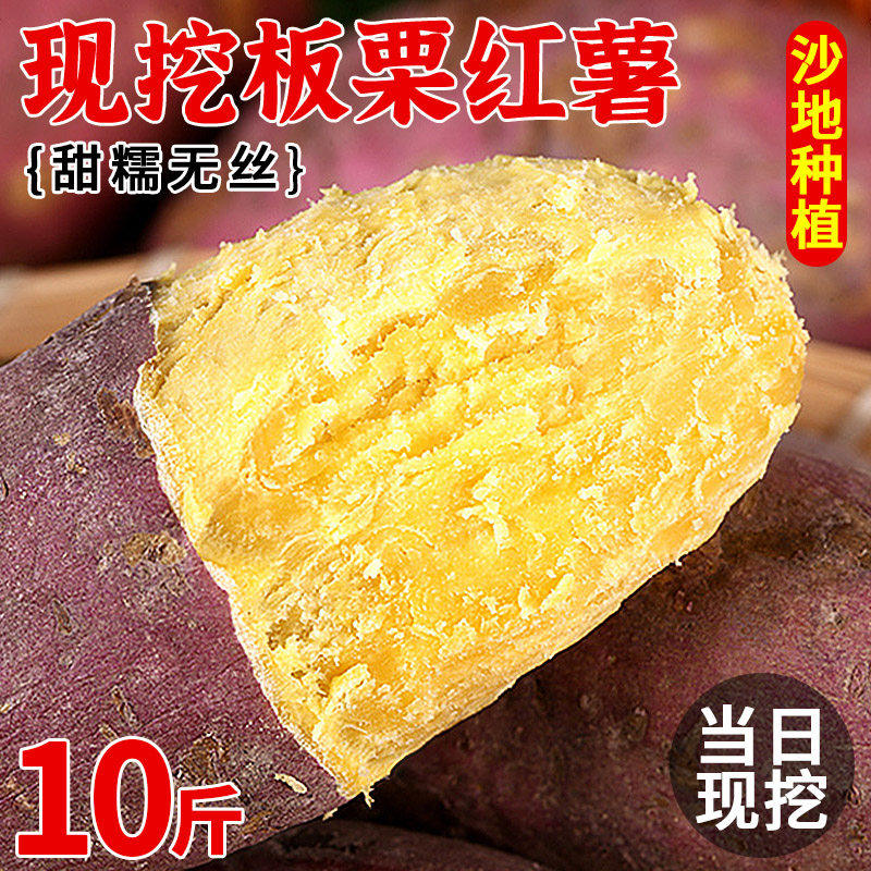 新鲜板栗薯红薯10斤装农