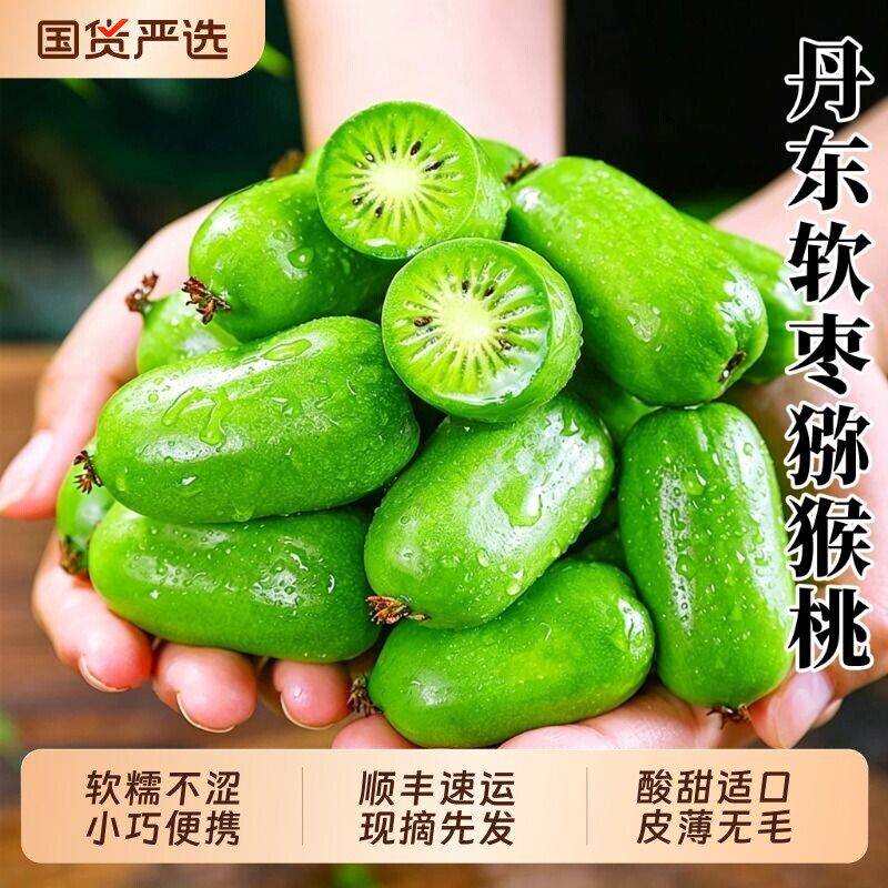 丹东软枣猕猴桃小水果鲜果东北野生软枣子迷你奇异莓圆枣子奇异果
