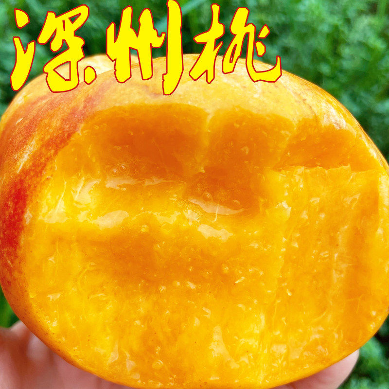 黄金油蟠桃彩虹深州香甜