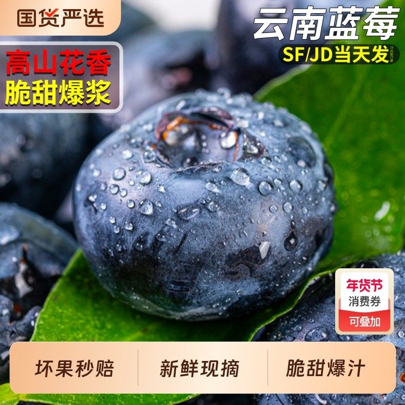 云南新鲜高山蓝莓王12盒现摘特大果花香水果怡颗水果整箱包邮鲜果,包装,水果包装,淘宝优惠券,粉丝福利购,淘宝优惠卷