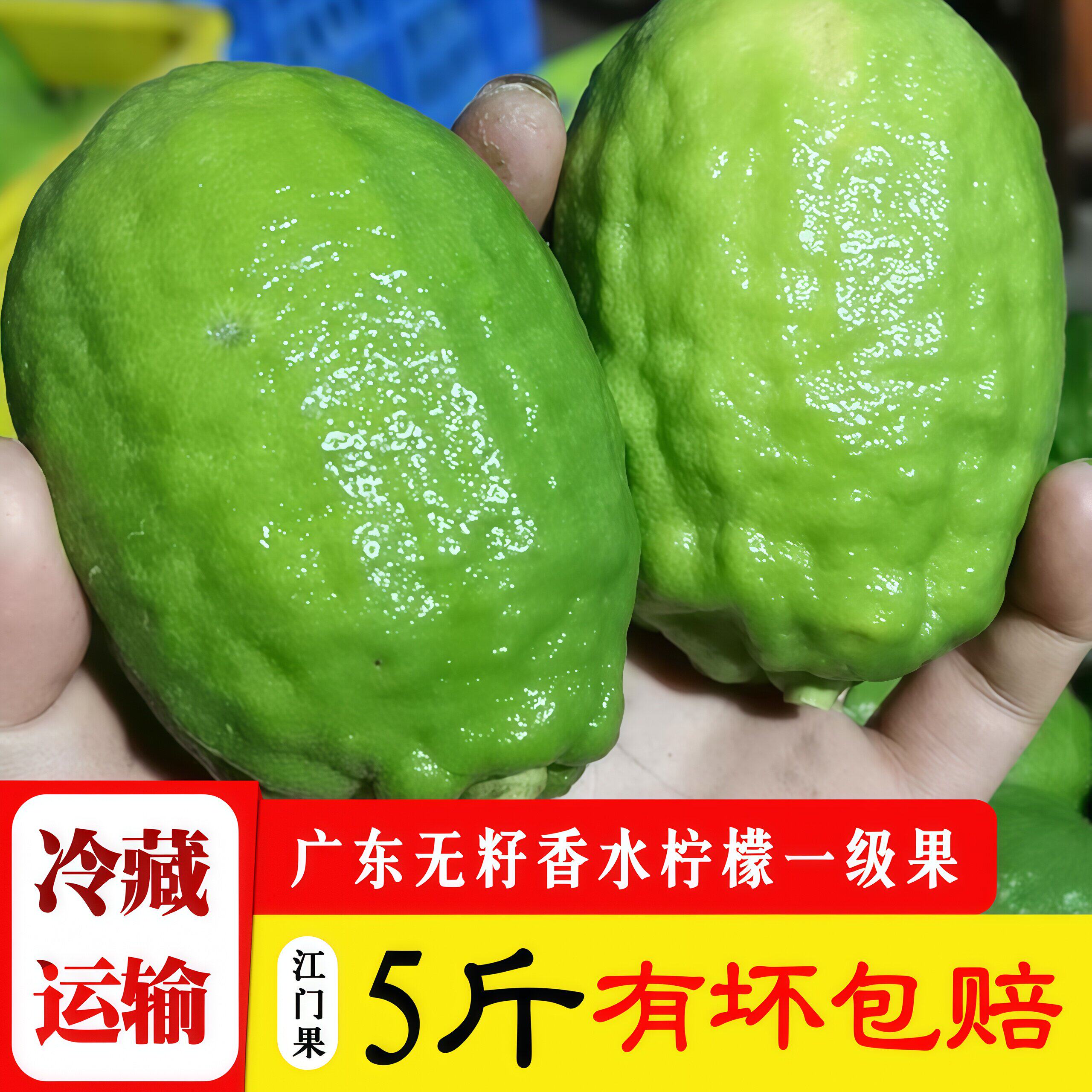 新鲜正宗广东无籽香水柠檬5斤一级果绿青柠檬奶茶店专用江门水果