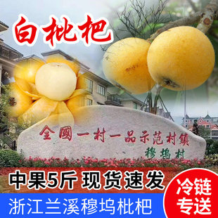 浙江兰溪白玉枇杷白沙枇杷中果琵琶新鲜鲜果鲜枇杷应季礼盒装5斤