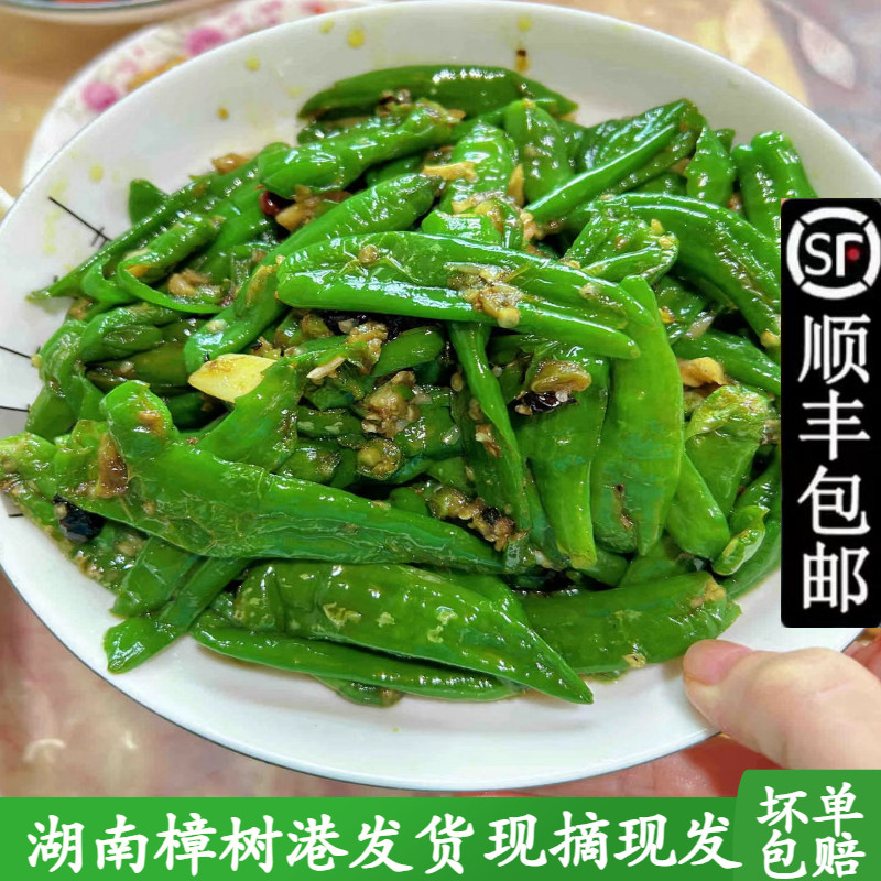 3斤装正宗樟树港新鲜辣椒