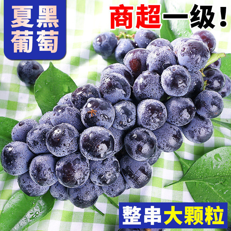 云南夏黑葡萄5斤新鲜应当
