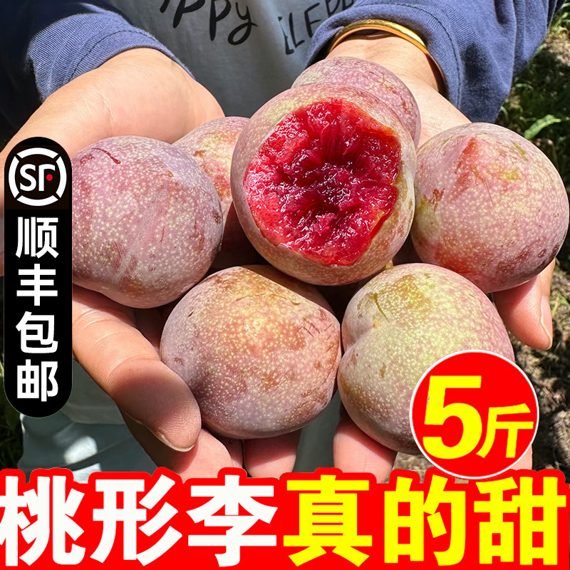 正宗嵊州桃形李现摘红心
