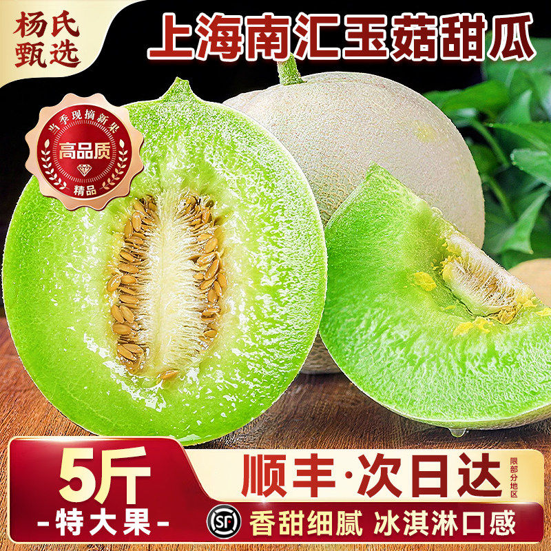 上海南汇玉菇甜瓜10斤新
