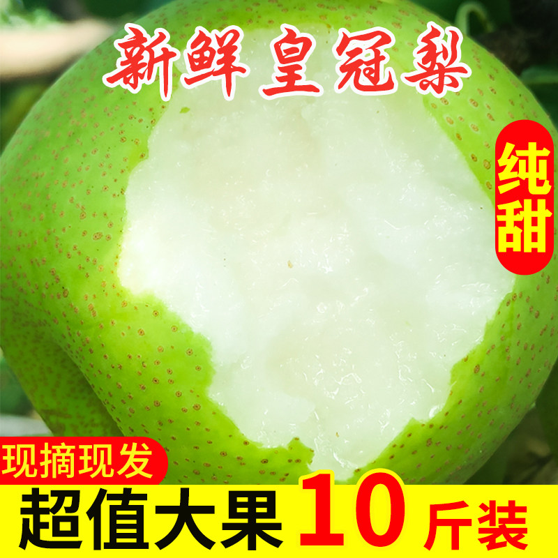 梨子青梨10斤现摘翠玉梨