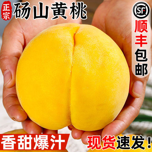 砀山黄桃新鲜水果当季整