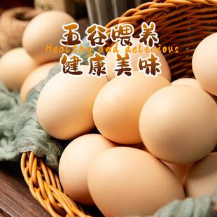 正宗大别山顺丰包邮66枚农户散养土鸡蛋农家走地鸡蛋新鲜丛林鸡蛋