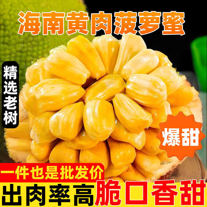 现摘海南三亚菠萝蜜 一整个新鲜 特价菠萝蜜整箱2-40斤当季