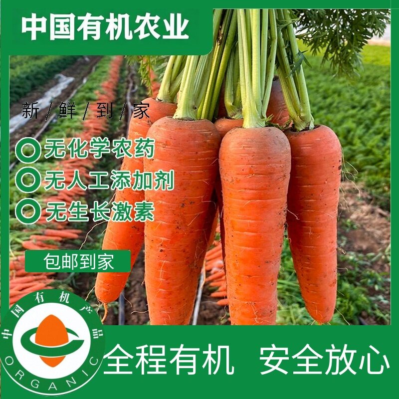 有机胡萝卜认证无农药新