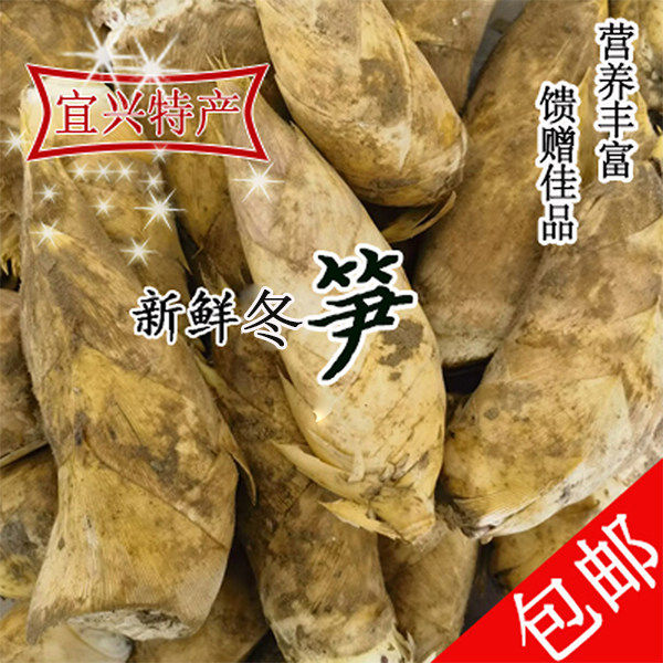 现挖现发2026宜兴新鲜大冬笋黄泥竹笋1件5斤包邮农产品食用冬笋
