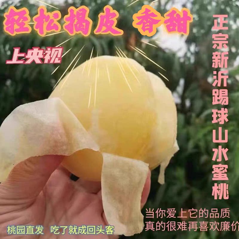 新沂桃子新鲜水果水蜜桃