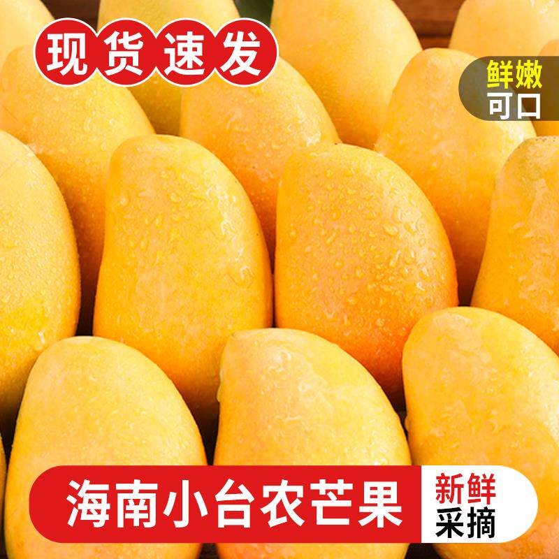 【海南直发】小台农芒果