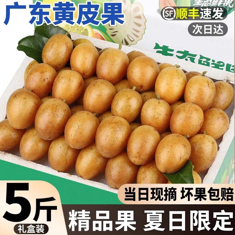 顺丰礼盒鸡心黄皮果新鲜