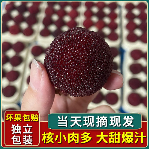 8A特级大果浙江仙居杨梅