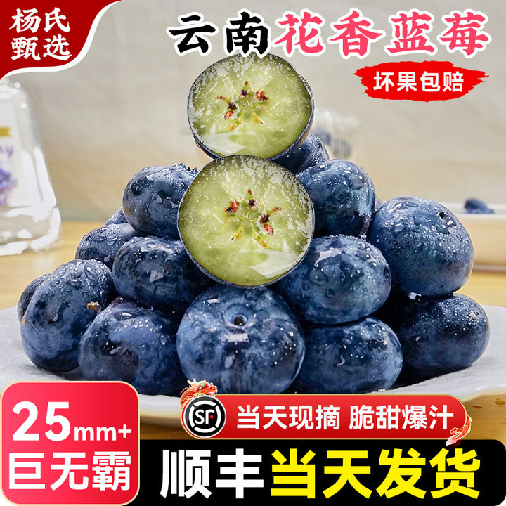 云南蓝莓鲜果花香特大5斤礼盒当季新鲜水果L25顺丰高山产地直发,包装,水果包装,淘宝优惠券,粉丝福利购,淘宝优惠卷