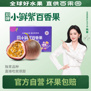 【百果园店】招牌小鲜紫8粒22粒广西金都百香果3号紫皮水果送礼盒