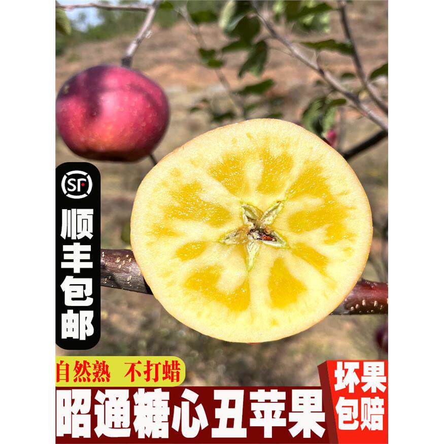 顺丰云南昭通红露现摘新