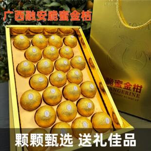 广西融安金桔正宗第三代脆蜜金柑费罗列装大果王新鲜甜脆金桔礼盒