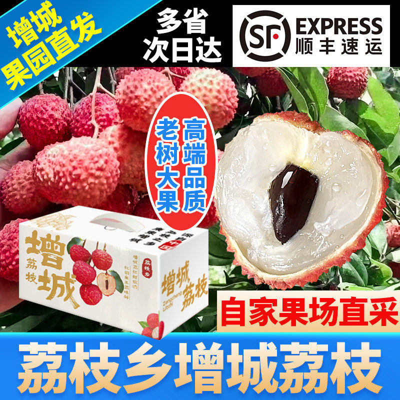 【邮政空运】正宗增城桂
