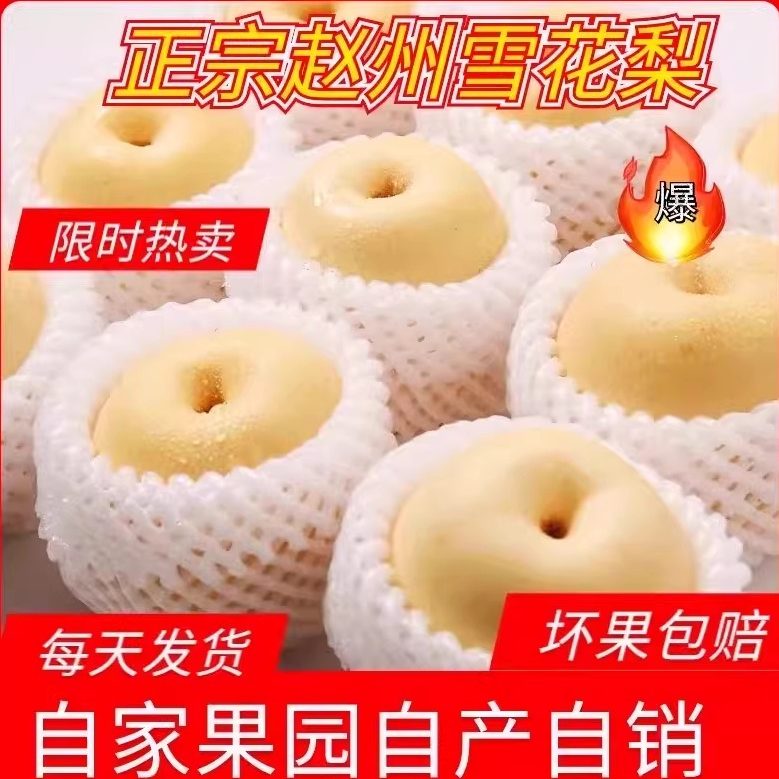 河北皇冠梨新鲜水果当季