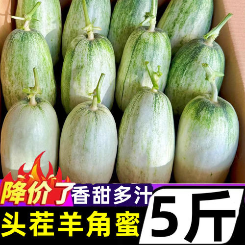山东头茬羊角蜜5斤新鲜当