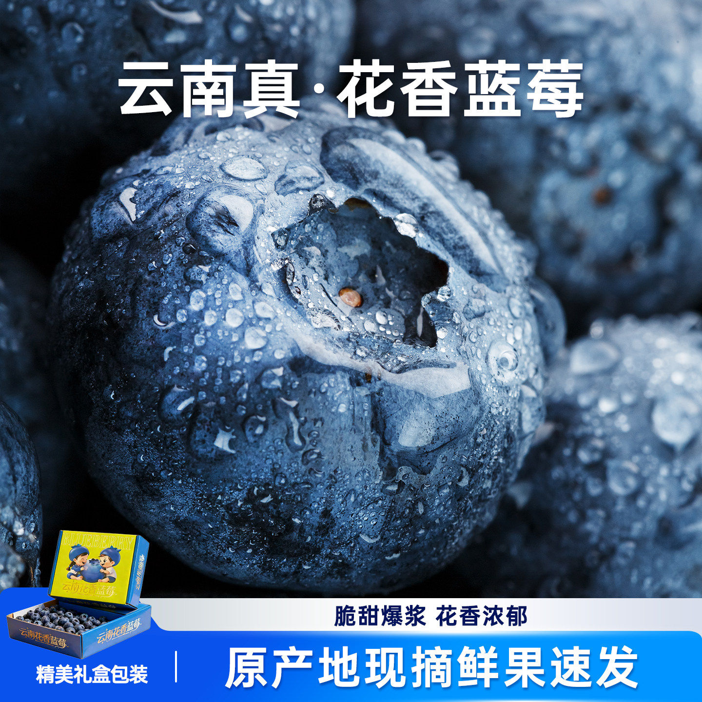 【蜜蜂心愿社】云南花香蓝莓新鲜水果浆果现摘高山原产地直发大果,包装,水果包装,淘宝优惠券,粉丝福利购,淘宝优惠卷