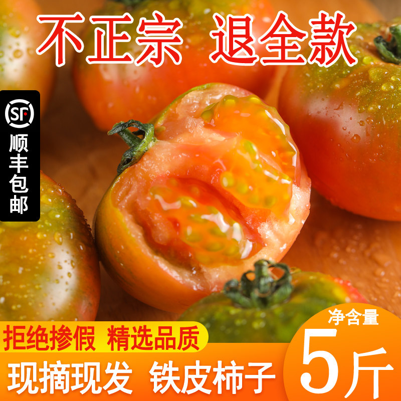 正宗丹东铁皮西红柿草莓