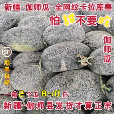 正宗新疆伽师瓜应季新鲜水果全网纹绿皮哈密瓜原产地直发全国包邮